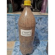 BAGOONG ISDA GINAMOS Fresh from MASBATE 1.5L(2kg)