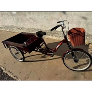 Adult cargo tricycle
