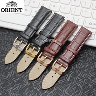 Orient orient Double Lion Genuine Leather Watch Strap Original Men's Double Lion Women's Pin Buckle 