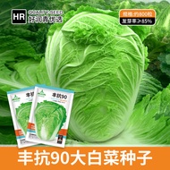 Factory Wholesale Hemp Leaf Hot Pot Vegetable Cabbage Seeds Wrinkled Leaf Chinese Cabbage Seed Really Delicious Ye Duo A