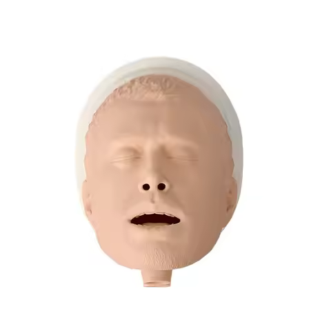 Simulation Airway Management Model Adult Intubation Manikin Head Trainer Kit with Base Nasal & Oral