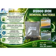 [1KG] IRB800 Iron Removal Bacteria | Treat Iron in Pond | Water Treatment for Fish & Shrimp Farming 