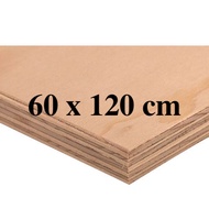 60x120 cm PRE CUT MARINE PLYWOOD