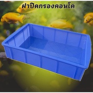 Condo Filter Cover Can Place Things Plastic Aquarium Water Fish Tank Balloon Basin Peacock Tail Beau