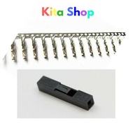 Female Dupont Connector and Pin (10 pcs)
