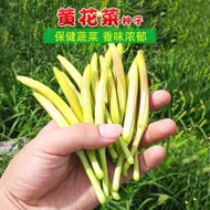 現貨 特價 快速發貨黃花菜種子 種籽種籽野菜種子 種籽籽種金針菜菜籽忘憂草菜種黃花蔬菜秋季子fpny