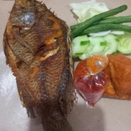 Lalapan Nila Goreng Aja Khas Ala Mocinru