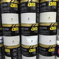 CAT PELAPIS BATU ALAM VERNIS AM 152 AM152 STONE COATING NATURAL (DOFF)-Hosebuild