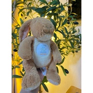 Guess How Much I Love You Rabbit Doll Soft Fur 9 Inches High
