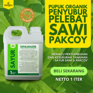 Pupuk Sawi Pakcoy Obat Penyubur Sawi Pupuk Cair Untuk Daun Pakcoy Pupuk Tanaman Pakcoy Sawi Putih