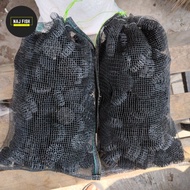 Bio Ball Spike 250Pcs Waring 40x25 Aquarium and Pond Filter Media Jos