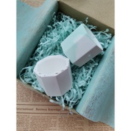 Pot Succulents Pot Plant Pot for Cactus Pot