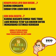 Bunga Anggrek Bulan / Buket Bunga Anggrek / Rangkaian Bunga Anggrek