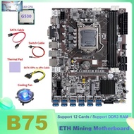 B75 BTC Miner Motoard 12x Usb Dengan G530 CPU + Kabel Switch + SATA