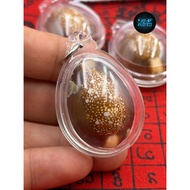 水银挡降贝 BiaGae Perlot｜Luang Phor Pleung 开光加持 Takrut Samkasat 金银铜三色符管 Wat PhangDan（瓦攀丹）B.E.2565