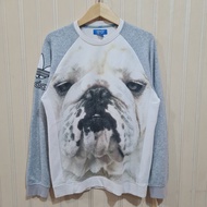 Crewneck Adidas Bulldog Size 100 AOP Second Branded