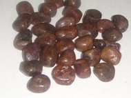高檔礦石 天然珍貴 紅寶石  (剛玉) 原礦 (99.8g)(499克拉)=A2-695