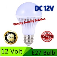 WSS LED DC 12V E27 Bulb Daylight Bulb