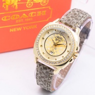 FREE BOX EXCLUSIVE JAM TANGAN WANITA COACH OVAL LIST PERMATA KULIT JAM TANGAN CWE / JAM TANGAN KULIT