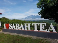 Sabah Tea Resort