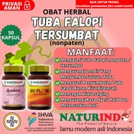 Obat Tuba Falopi Tersumbat Nonpaten Herbal Naturindo