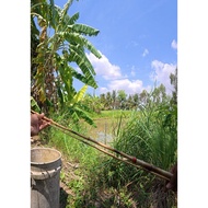 Bamboo rod 1 piece l