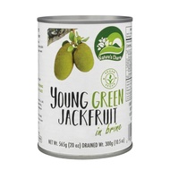 Nature’s Charm Young Green Jackfruit in Brine 565g - Vegan