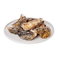 Fassler Gourmet Oyster Sashimi - Frozen