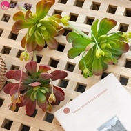 CURTESY Fake Cactus, Fleshy Lifelike Artificial Succulent Plant, Green Plant Realistic Plastic Real 
