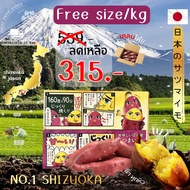 ‼️แท้จากญี่ปุ่น‼️มันหวานญี่ปุ่น Beni haruka จาก SHIZUOKA คัดพิเศษ 1 กิโลกรัมหวาน หอม เนื้อเหลือง อร่อย เคลมได้