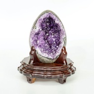 ESP 烏拉圭恐龍蛋 1130860