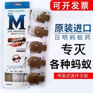 Korea Riming Ant Medicine Household Nest Imported Kitchen Extinguishing Red Yellow Black Ant Ant Bai