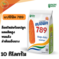 เมล็ดพันธุ์ข้าวโพดอาหารสัตว์ แปซิฟิค 789 ล็อตใหม่พร้อมปลูก