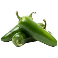 30 เมล็ด เมล็ดพันธุ์ พริกแด้ พริกแต้ พริกนก พริกแจว Pepper Seeds สายพันธุ์ พริกแม็กซิกัน Jalapeno