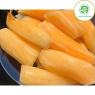 VIP ginseng root, large, 3-4 roots/kg