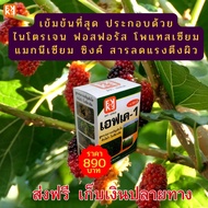 มัลเบอร์รี่ โตไว ใบเขียว ผลใหญ่  ฉีดพ่นปุ๋ย FK-1 ต้นทุนต่อไร่ถูกกว่าปุ๋ยเม็ด 4เท่า เพิ่มผลผลิตสูงสุด