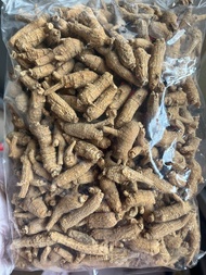 美國花旗參（1斤莊）
