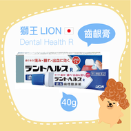 🇯🇵 現貨🇯🇵  獅王 LION Dent Health R 齒槽膿漏軟膏 齒齦膏 40g 日本境內版