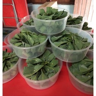 Tapai Pulut Daun Getah (30 pcs)