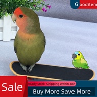 gooditem Skateboard Toy Mini Ease Anxiety Plastic Skateboard Training Toy for Budgie
