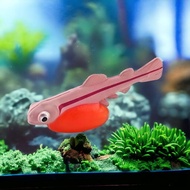 Mainan Miniatur Siklus Hidup Bayi Ikan Salmon Baby