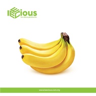 Fresh Banana Pisang 900g-1kg Fresh Fruits