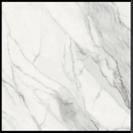 Granit Lantai ROMAN Granit GT809402FR dLorraine Carrara 80x80