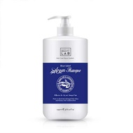 [KOREA] Argan Oil Shampoo 1150ml Blue Label  - Park Jun For Hair Care