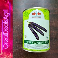 2024 GRAMS LONG WEST SEEDS F1 SEEDS EAST FORTUNER HYBRID VIOLET EGGPLANT 50