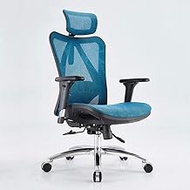 Computer Chair Aluminum Alloy Plating Chair Foot, Home Swivel Seat Ergonomic Office Chair Boss Chair (Color : Black) interesting