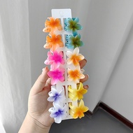 12pcs/Hawaiian Colorful flower hair accessories Clip Beach Hairpin Barrettes beach hair Accessories