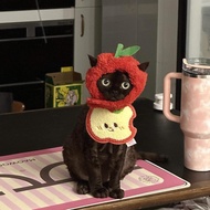 Funny Anti-bite Cat Hat