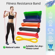 【SG】Heavy Duty Resistance Band / Stretch Band / Pull Up Band / Pull Up / Pull Up Bar / Push Up
