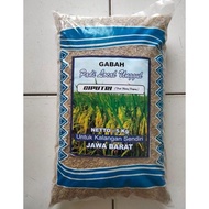 PROMO Benih bibit padi ciputri / ciherang malay panjang kemasan 5kg